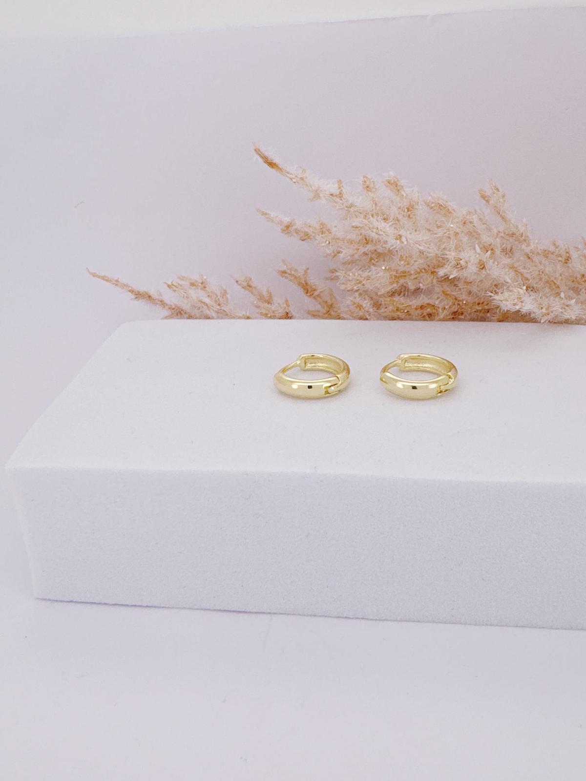 0083- BASIC HOOP EARRIG