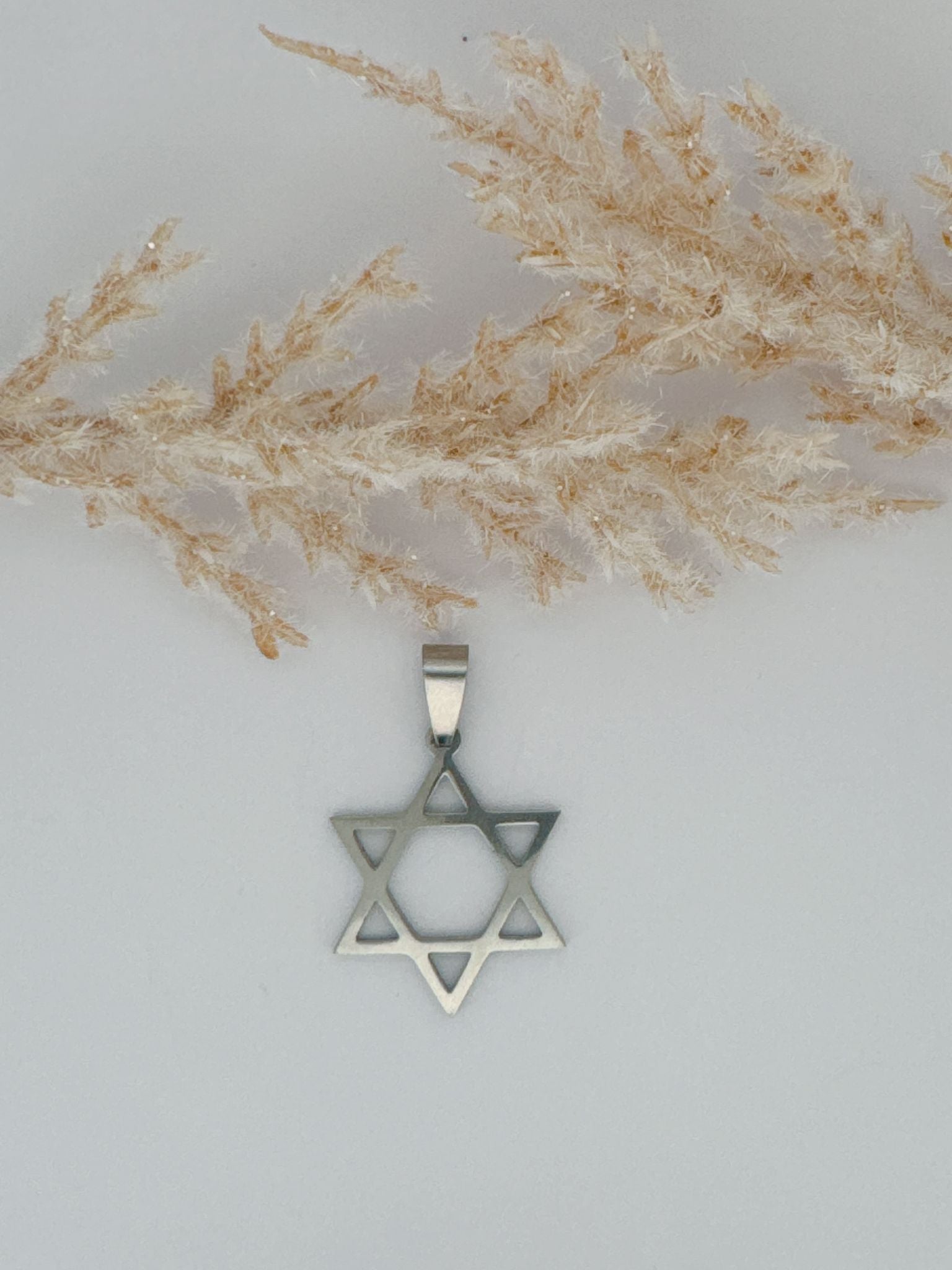 319/PI06- STAR OF DAVID PENDANT